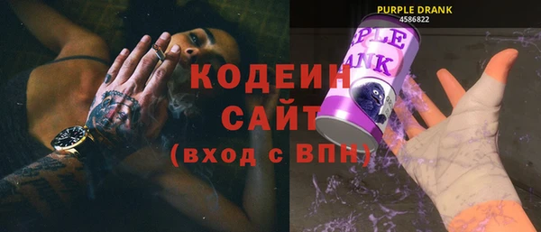 2c-b Гусев
