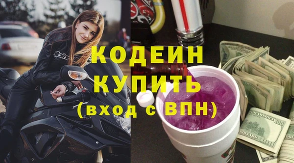 2c-b Гусев