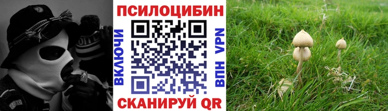 Галлюциногенные грибы мухоморы  ОМГ ОМГ сайт  Гусиноозёрск 
